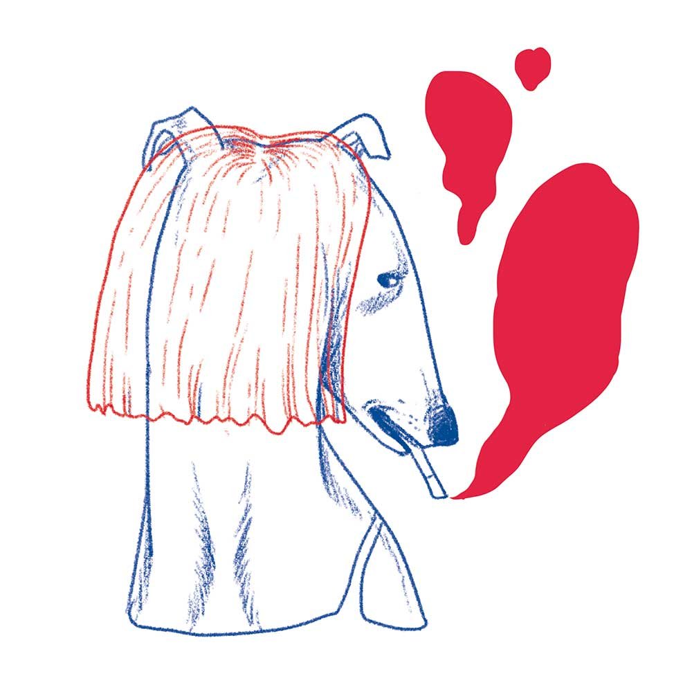 Greyhounds doing people things