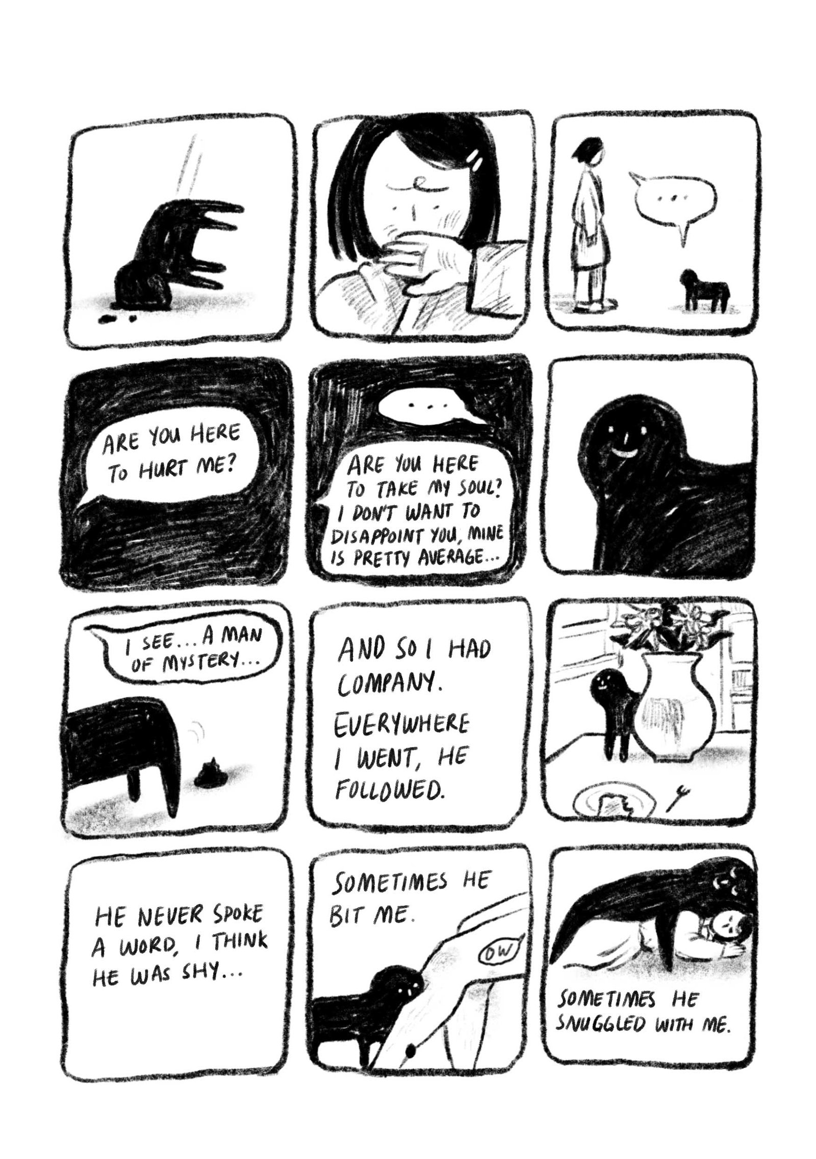 Midnight_visitor4_March2026-update