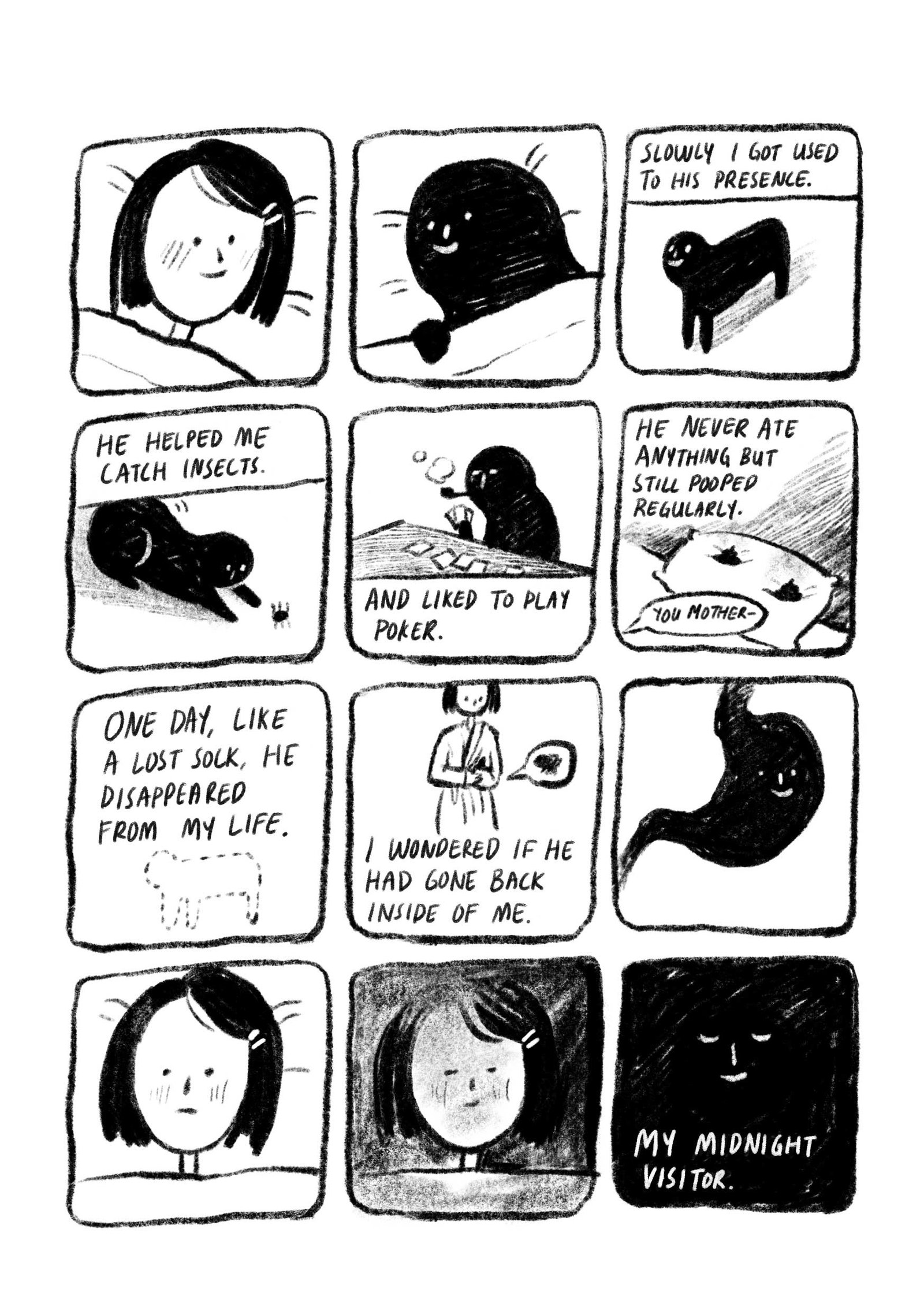 Midnight_visitor5_march2026-update